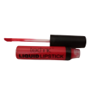 Imported Technic Liquid Lipsticks